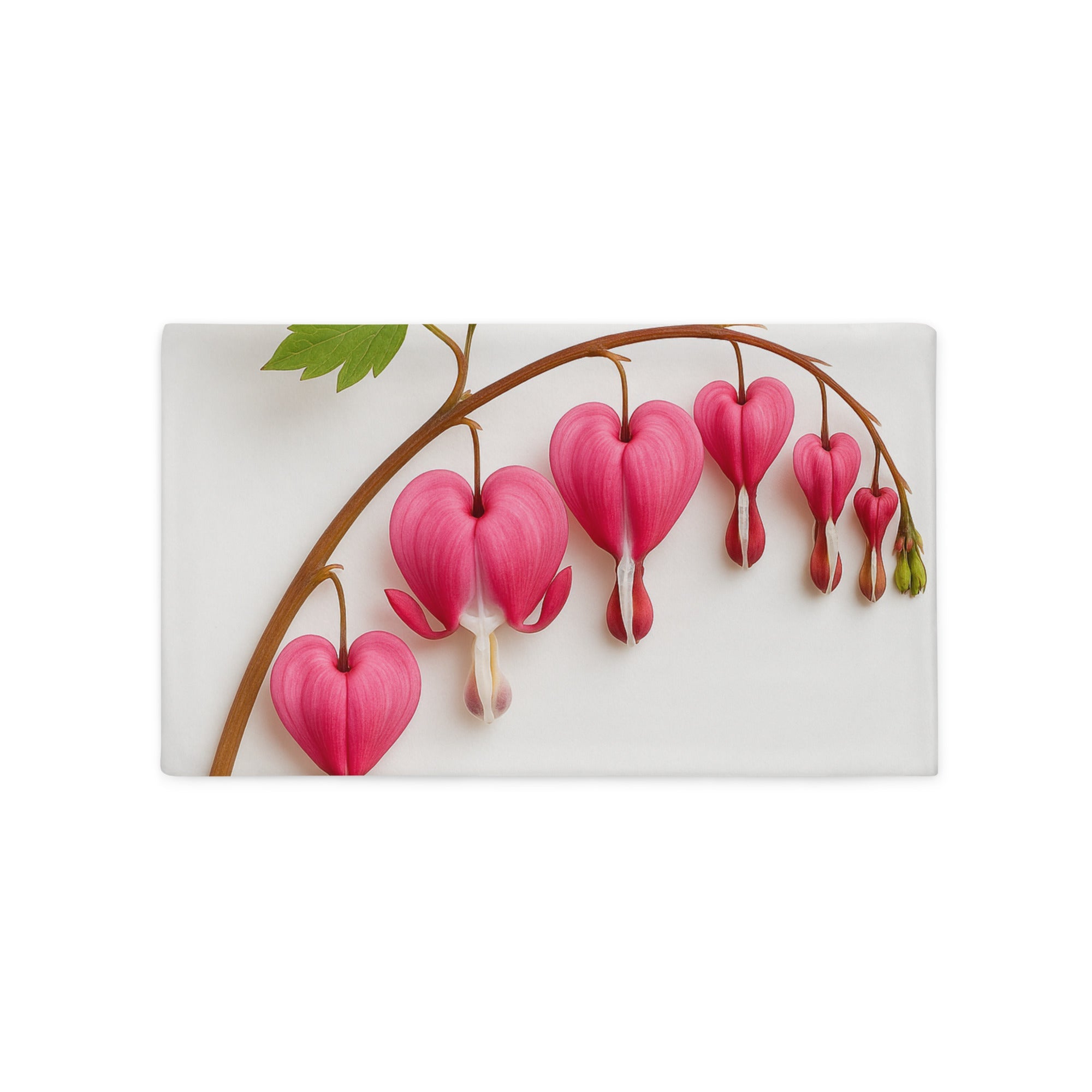 Cushion/Pillow case - 20″×12″ - The Elise Emporium