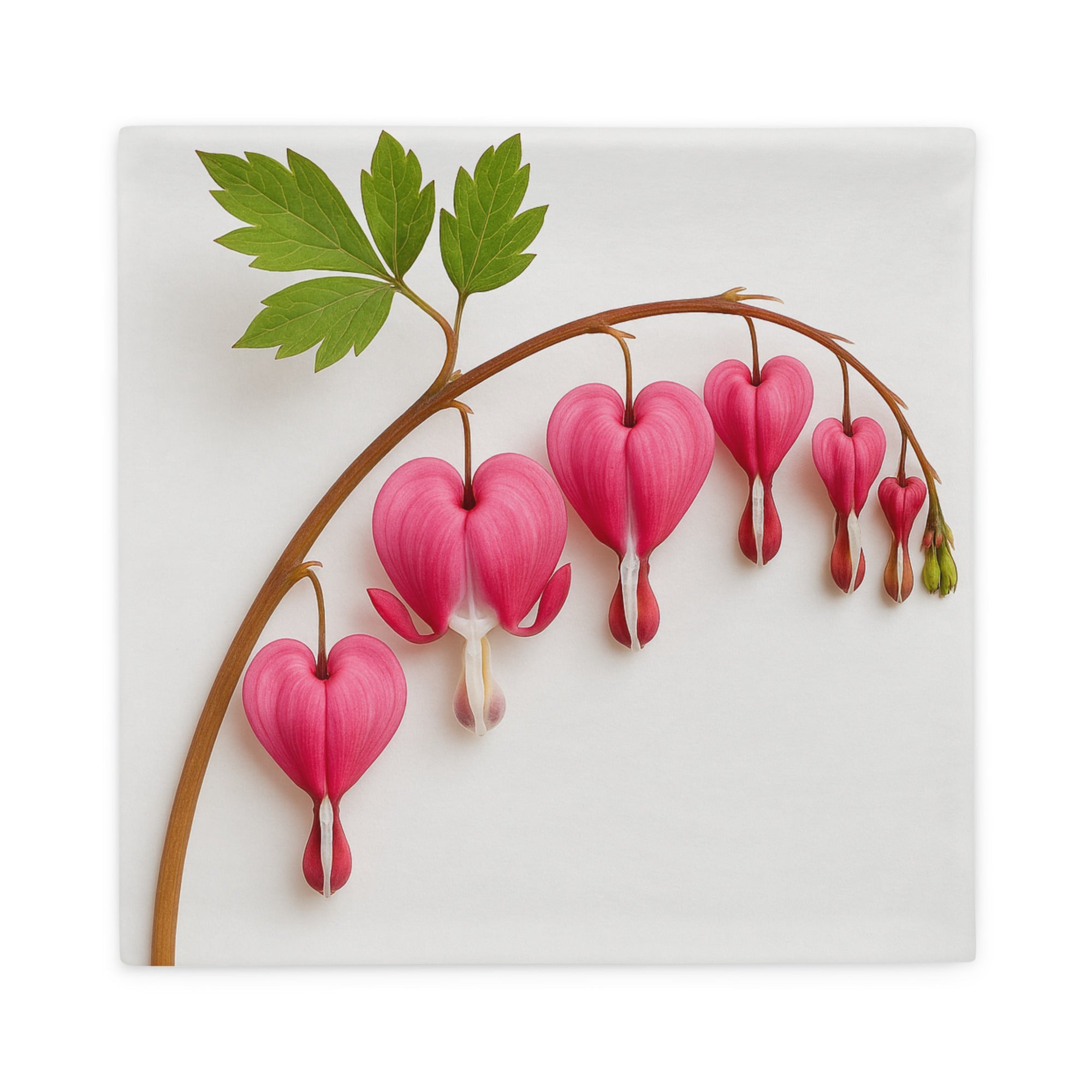 Cushion/Pillow case - 22″×22″ - The Elise Emporium